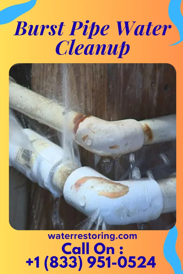 Burst Pipe Water Cleanup in Flemington, WV