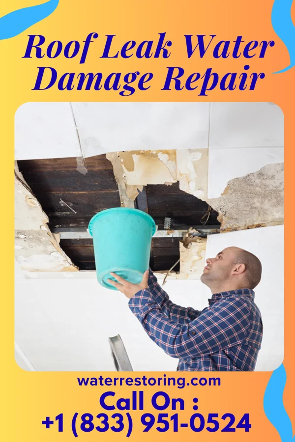 Roof Leak Water Damage Repair in Flemington, WV