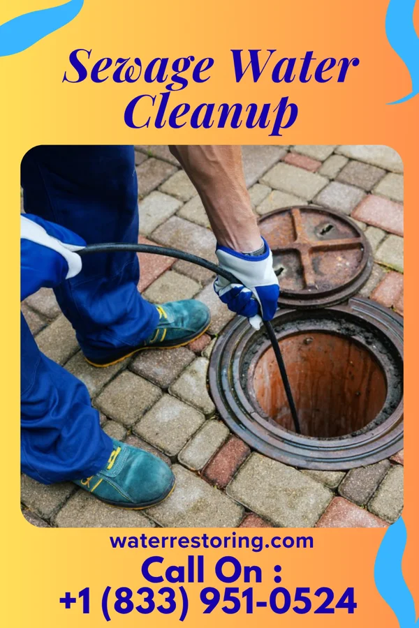 Sewage Water Cleanup in Flemington, WV