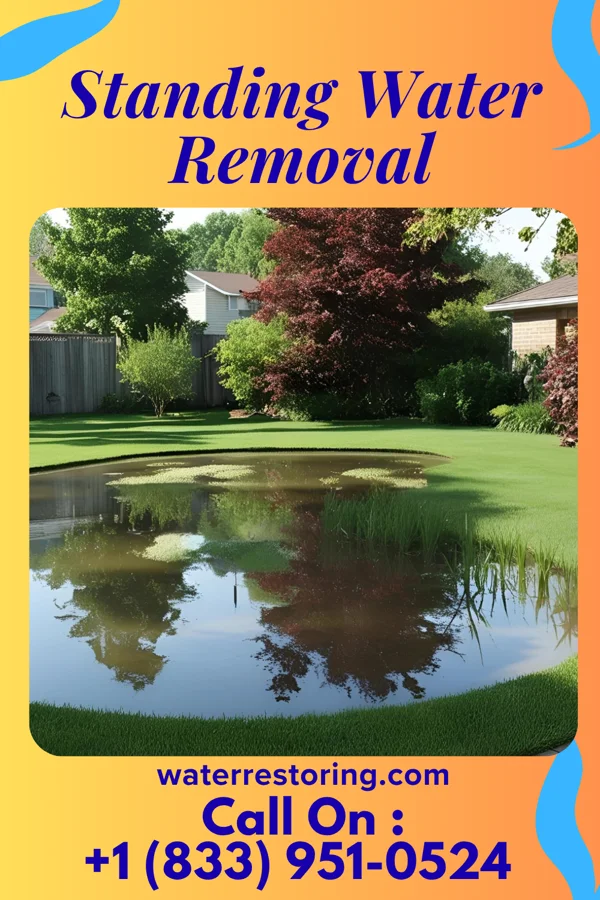 Standing Water Removal in Flemington, WV